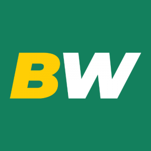 Betwinner logo